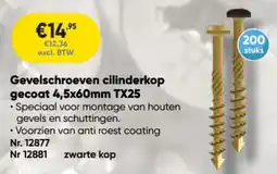 Toolstation Dyna Plus Gevelschroeven cilinderkop gecoat TX25 aanbieding