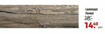 Kwantum Laminaat forest aanbieding