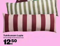 Kwantum Tuinkussen Lupia aanbieding