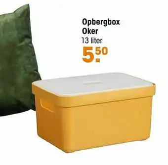 Kwantum Opbergbox oker aanbieding
