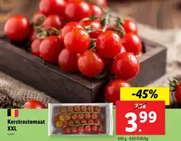 Lidl Kerstrostomaat XXL aanbieding