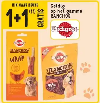 Cora Geldig op het gamma RANCHOS aanbieding