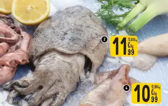 Cora Zeekat aanbieding