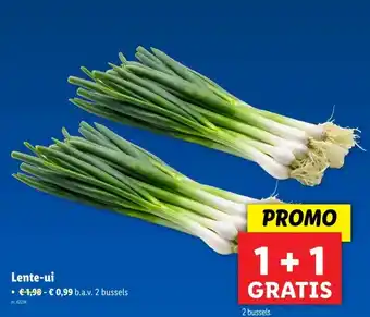 Lidl Lente-ui aanbieding