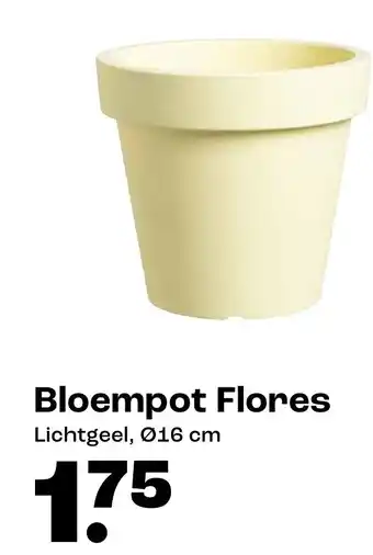 Kwantum Bloempot Flores aanbieding