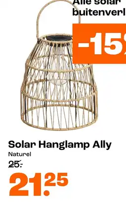 Kwantum Solar Hanglamp Ally Naturel aanbieding