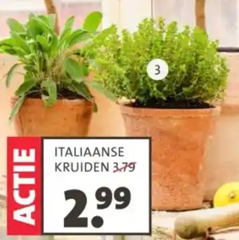 Intratuin Italiaanse kruiden aanbieding