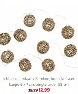 Intratuin Lichtsnoer lantaarn. aanbieding