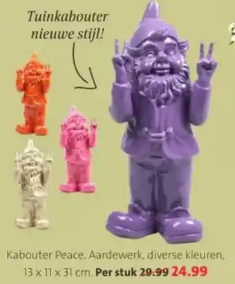 Intratuin Kabouter Peace. aanbieding