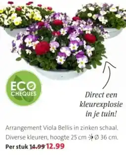 Intratuin Arrangement Viola Bellis in zinken schaal aanbieding