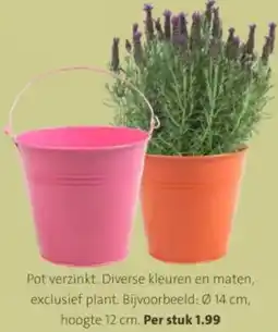 Intratuin Pot verzinkt aanbieding