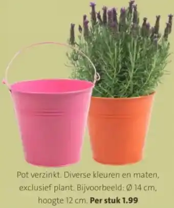 Intratuin Pot verzinkt aanbieding