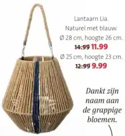 Intratuin Lantaarn Lia aanbieding