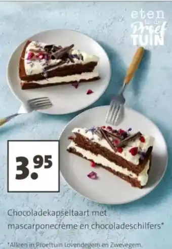 Intratuin Chocoladekapseltaart met mascarponecrème en chocoladeschilfers aanbieding