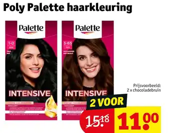 Kruidvat Poly Palette haarkleuring aanbieding