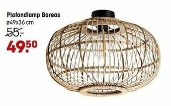 Plafondlamp boreas