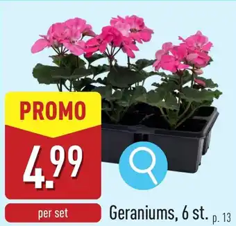 ALDI Geraniums aanbieding