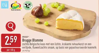 ALDI Brugge Blomme aanbieding