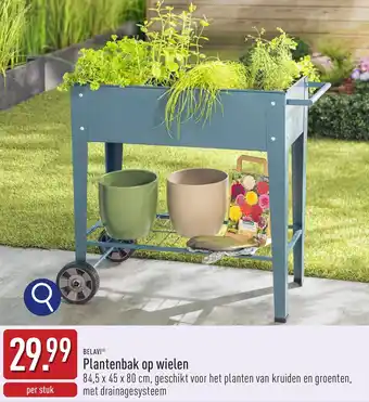 ALDI Belavi Plantenbak op Wielen aanbieding