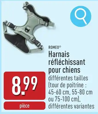 ALDI Romeo harnais réfléchissant pour chiens aanbieding