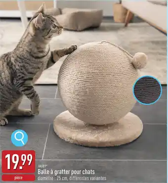 ALDI Juliet balle à gratter pour chats aanbieding