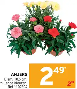 Trafic Anjers aanbieding