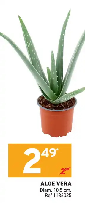 Trafic Aloe vera aanbieding