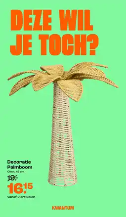 Kwantum Decoratie Palmboom aanbieding