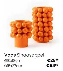 Europoint Vaas Sinaasappel aanbieding