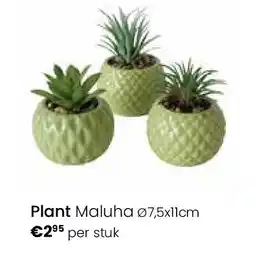 Europoint Plant Maluha Ø7,5x11cm aanbieding