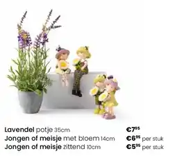 Europoint Lavendel potje 35cm aanbieding