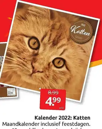 Kalender 2022: Katten