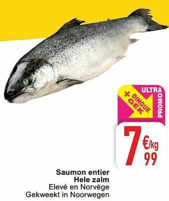 Cora Saumon entier hele zalm aanbieding