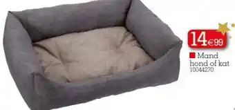 Yess Mand hond of kat aanbieding