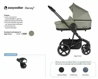 Harvey³ sage green