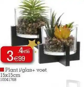 Yess Plant I-glas + Voet aanbieding