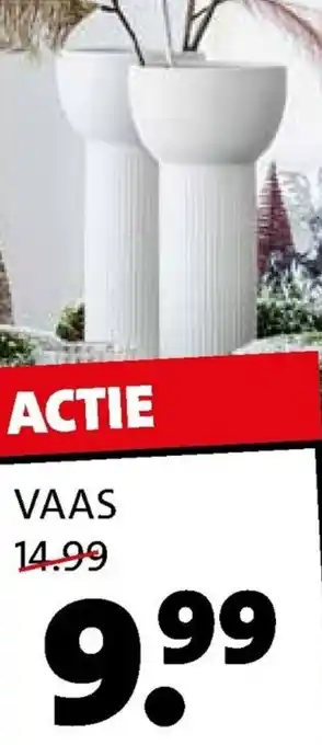 Intratuin Vaas aanbieding