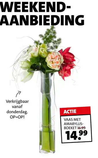 Intratuin Vaas met Amaryllisboeket aanbieding