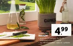 Lidl Livarno Home Bloempot aanbieding