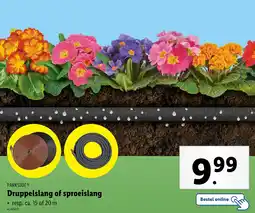 Lidl Parkside Druppelslang of Sproeislang aanbieding