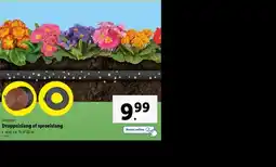 Lidl Druppelslang of sproeislang aanbieding
