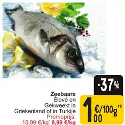 Cora Zeebaars aanbieding
