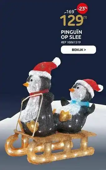 Pinguïn op slee