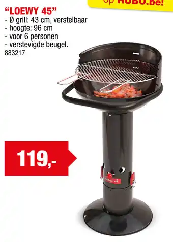 Hubo Barbecook Loewy 45 aanbieding