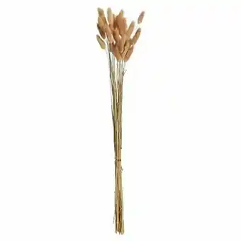Kwantum Lagarus Gedroogd Naturel aanbieding