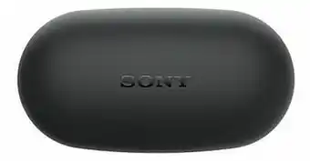 Sony True Wireless oortjes WF-XB700