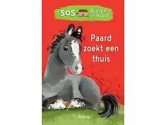 Sos Dieren In Nood! Paard Zoekt Een Thuis