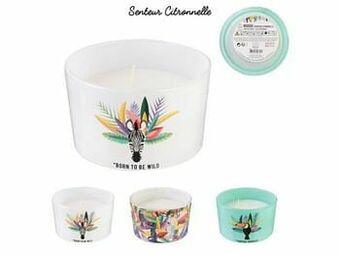 Multi bazar Assortiment Ronde Kaars Exotic 3 Kleuren aanbieding