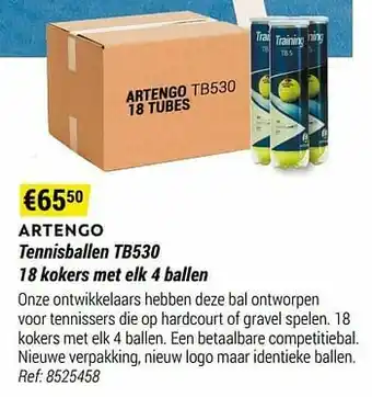 Decathlon Artengo tennisballen tb530 aanbieding