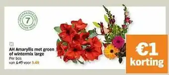 Albert Heijn Ah amaryllis met groen of wintermix large aanbieding